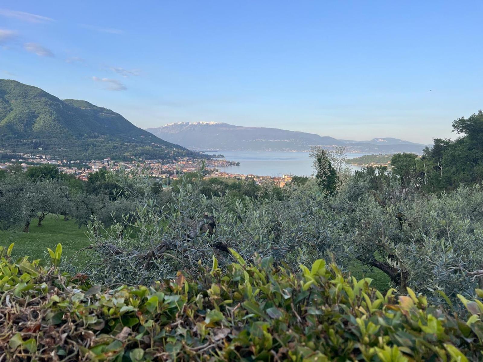 La Finestra Sul Garda Dreaming Holidays San Felice del Benaco Eksteriør bilde