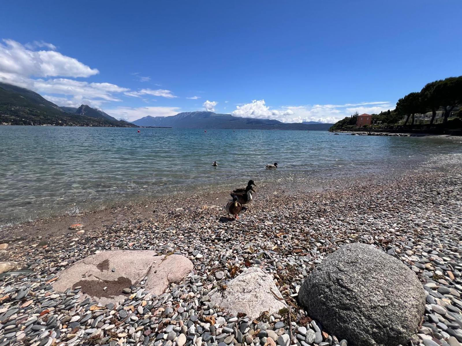 La Finestra Sul Garda Dreaming Holidays San Felice del Benaco Eksteriør bilde