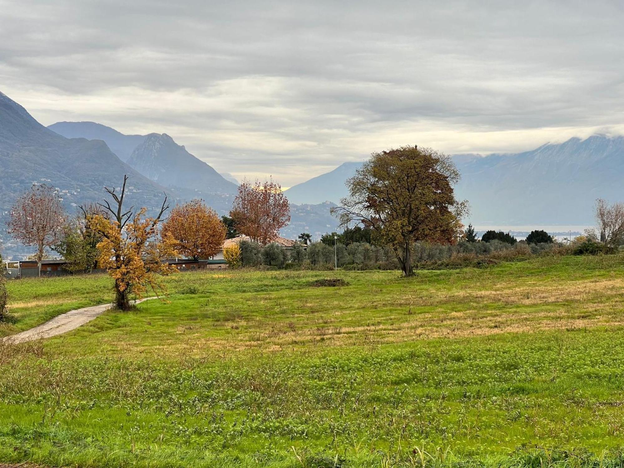 La Finestra Sul Garda Dreaming Holidays San Felice del Benaco Eksteriør bilde